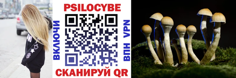 Галлюциногенные грибы мухоморы  Губкинский 