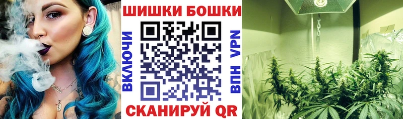 продажа наркотиков Губкинский Бошки марихуана сатива